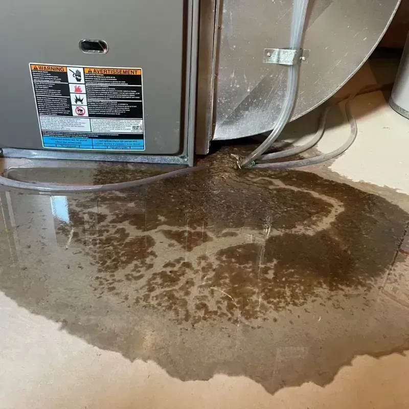 Appliance Leak Cleanup in Markham, IL